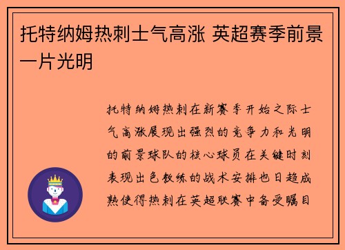 托特纳姆热刺士气高涨 英超赛季前景一片光明