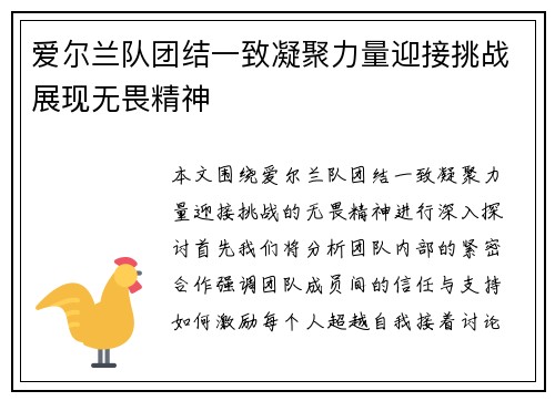 爱尔兰队团结一致凝聚力量迎接挑战展现无畏精神