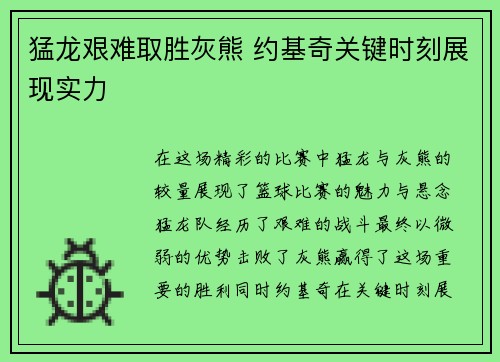 猛龙艰难取胜灰熊 约基奇关键时刻展现实力